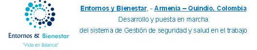 Entornos y Bienestar, Desarrollo y puesta en marcha 
del sistema de Gestión de seguridad y salud en el trabajo
 - Socio de Sistema Ambiente